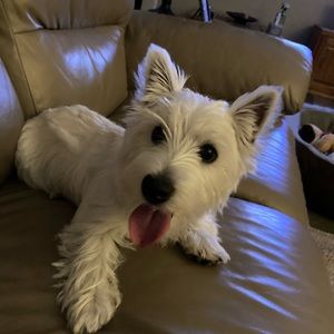 Meet your Posher, Lorraine